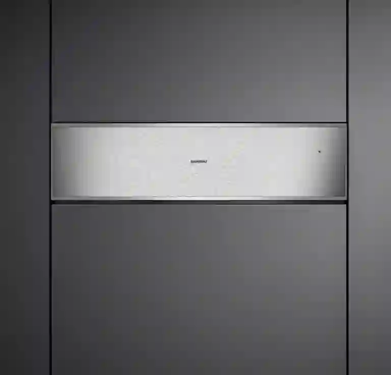 Gaggenau WS482110